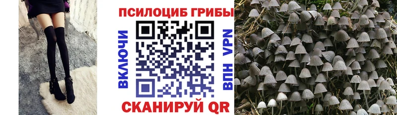 Купить закладки  Уссурийск  Галлюциногенные грибы Psilocybine cubensis 